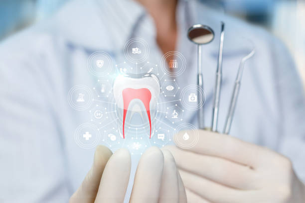 Best Dental Exams and Cleanings  in Elk River, MN